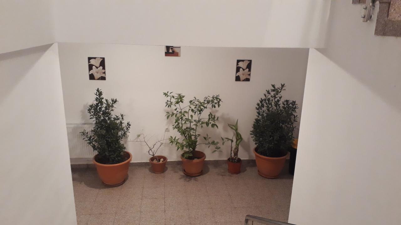 Hotel Casa Dobrescu Centura De Nord Krajowa Zewnętrze zdjęcie