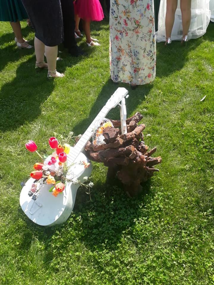 Hotel Casa Dobrescu Centura De Nord Krajowa Zewnętrze zdjęcie